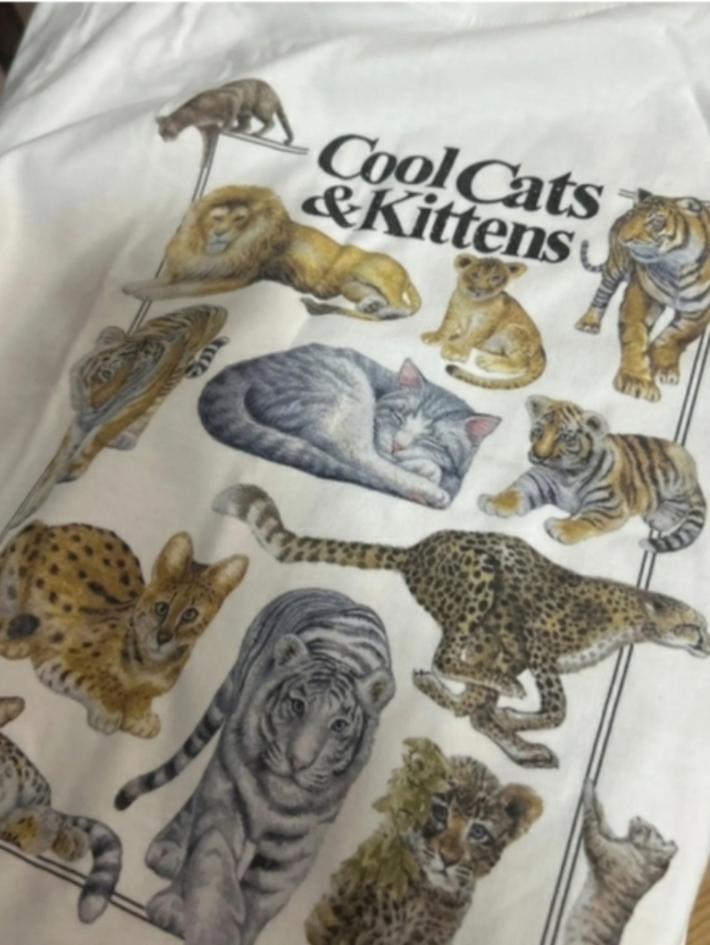 😎Cool Cats & Kittens Short Sleeve Oversized Tee - Picture 5 of 6